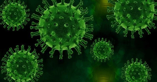 Corona Virus auf Fuerteventura