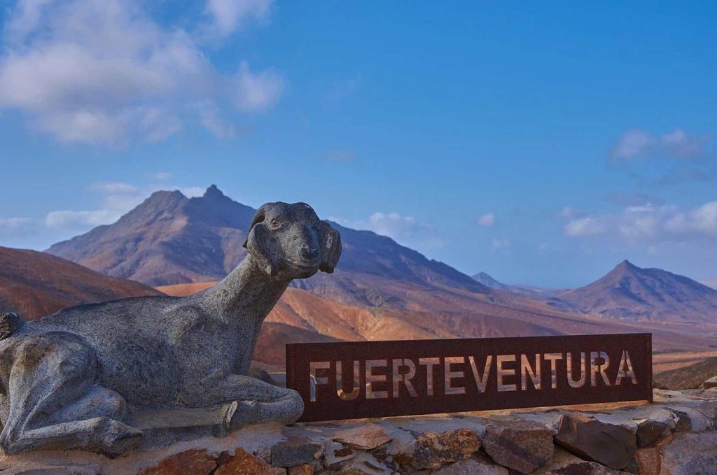 Wichtige Telefonnummern und Adressen auf Fuerteventura