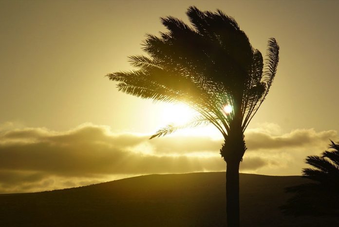 Update zur Unwetterwarnung auf Fuerteventura wegen Sturm und Calima