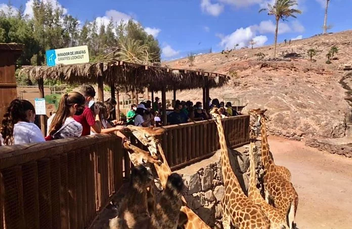 Oasis Wildlife Fuerteventura veranstaltet ökologisches Jugendprogramm - Bildquelle: Oasis Wildlife Fuerteventura