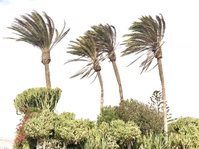 Unwetterwarnung für Fuerteventura - starker Wind am 22. und 23.7.2021