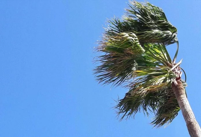 Starker Wind zum Ende der Woche auf Fuerteventura