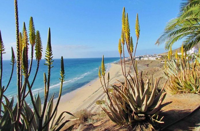 Corona Ampel von Fuerteventura bleibt bis Ende des Jahres 2021 rot